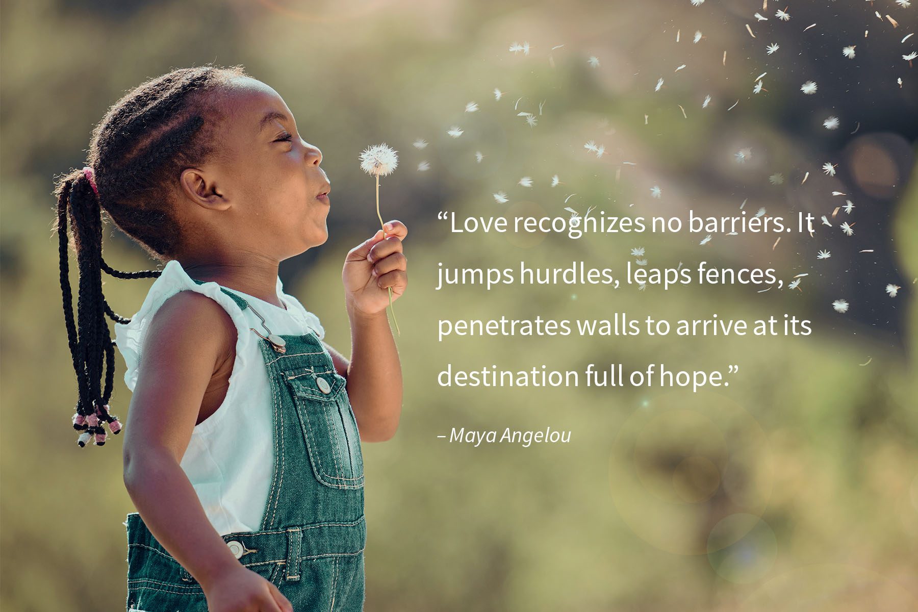 Quotes on Life - Maya Angelou