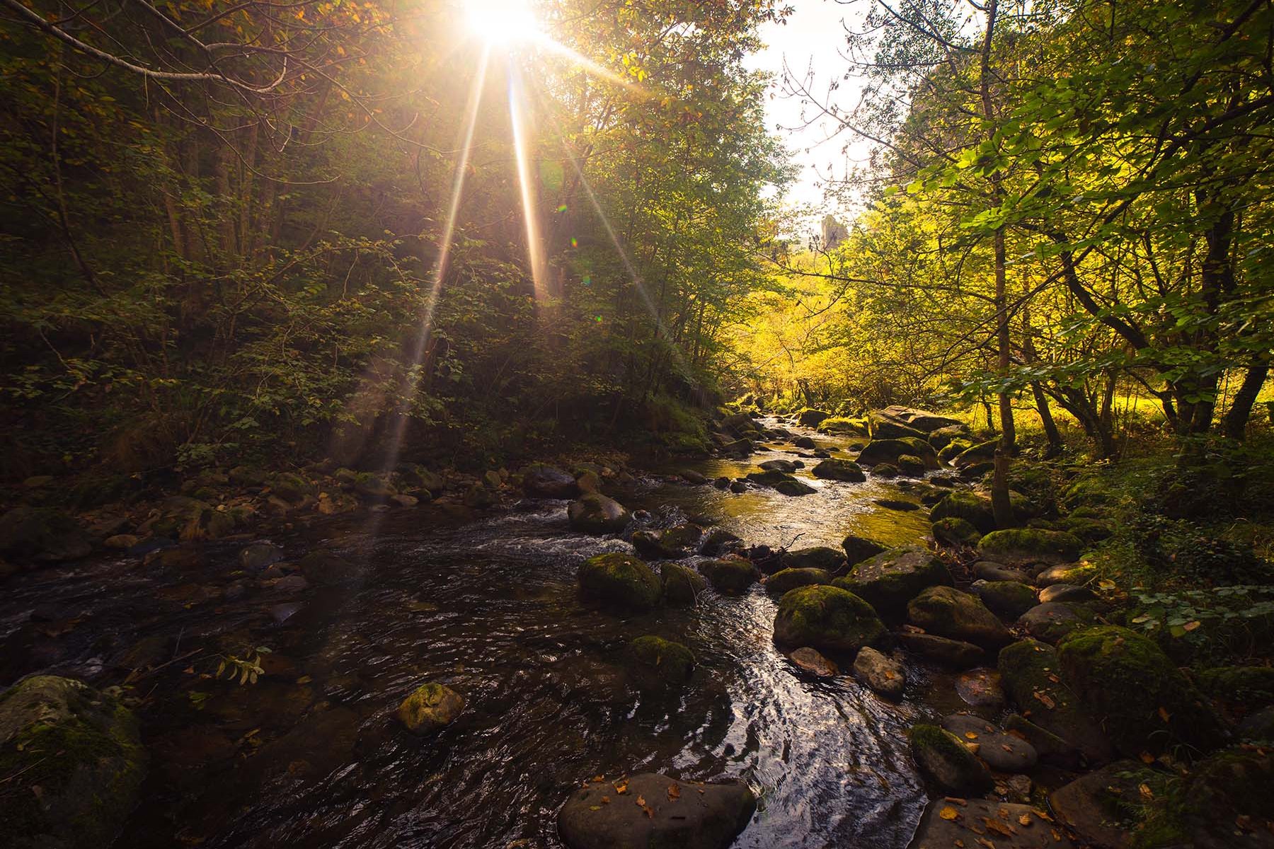 small-river-and-waterfall-flowing-in-green-dark-be-2026-01-09-10-02-44-utc